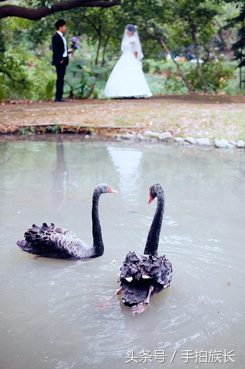 diy婚纱礼服教程视频,diy婚纱拍摄背景
