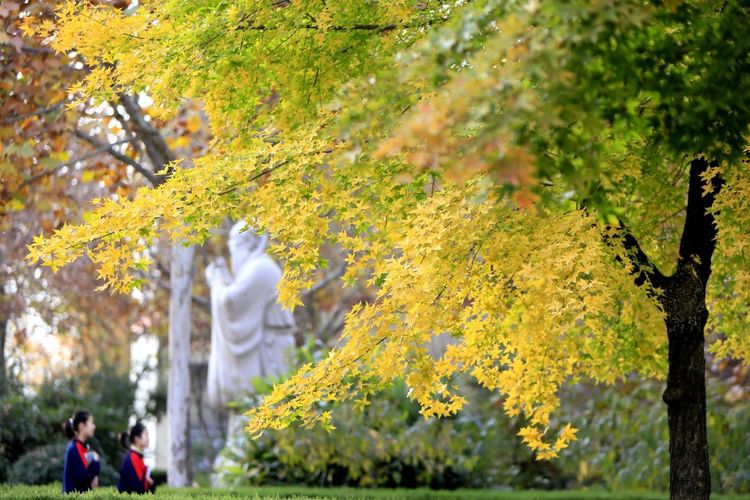 金秋沂南，诗意流淌有那么一群爱美的人，把秋季沂南送到你面前