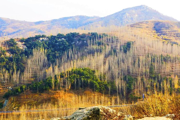 金秋沂南，诗意流淌有那么一群爱美的人，把秋季沂南送到你面前