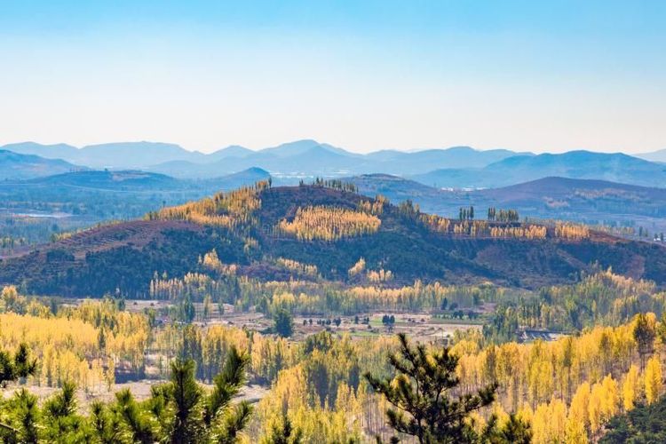 金秋沂南，诗意流淌有那么一群爱美的人，把秋季沂南送到你面前