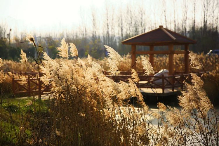 金秋沂南，诗意流淌有那么一群爱美的人，把秋季沂南送到你面前