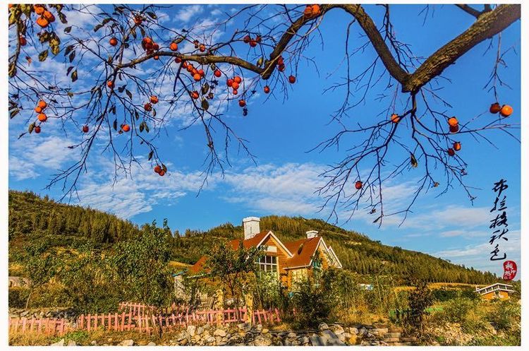 金秋沂南，诗意流淌有那么一群爱美的人，把秋季沂南送到你面前