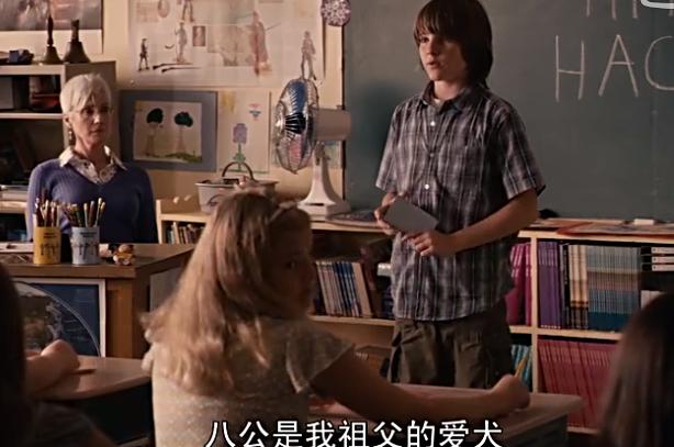 一只狗感动到哭的视频,一只狗看电影看哭了