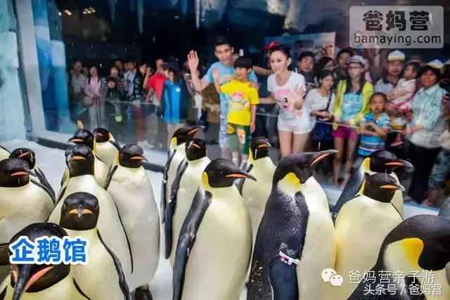 江浙沪十佳亲子酒店,适合亲子酒店推荐