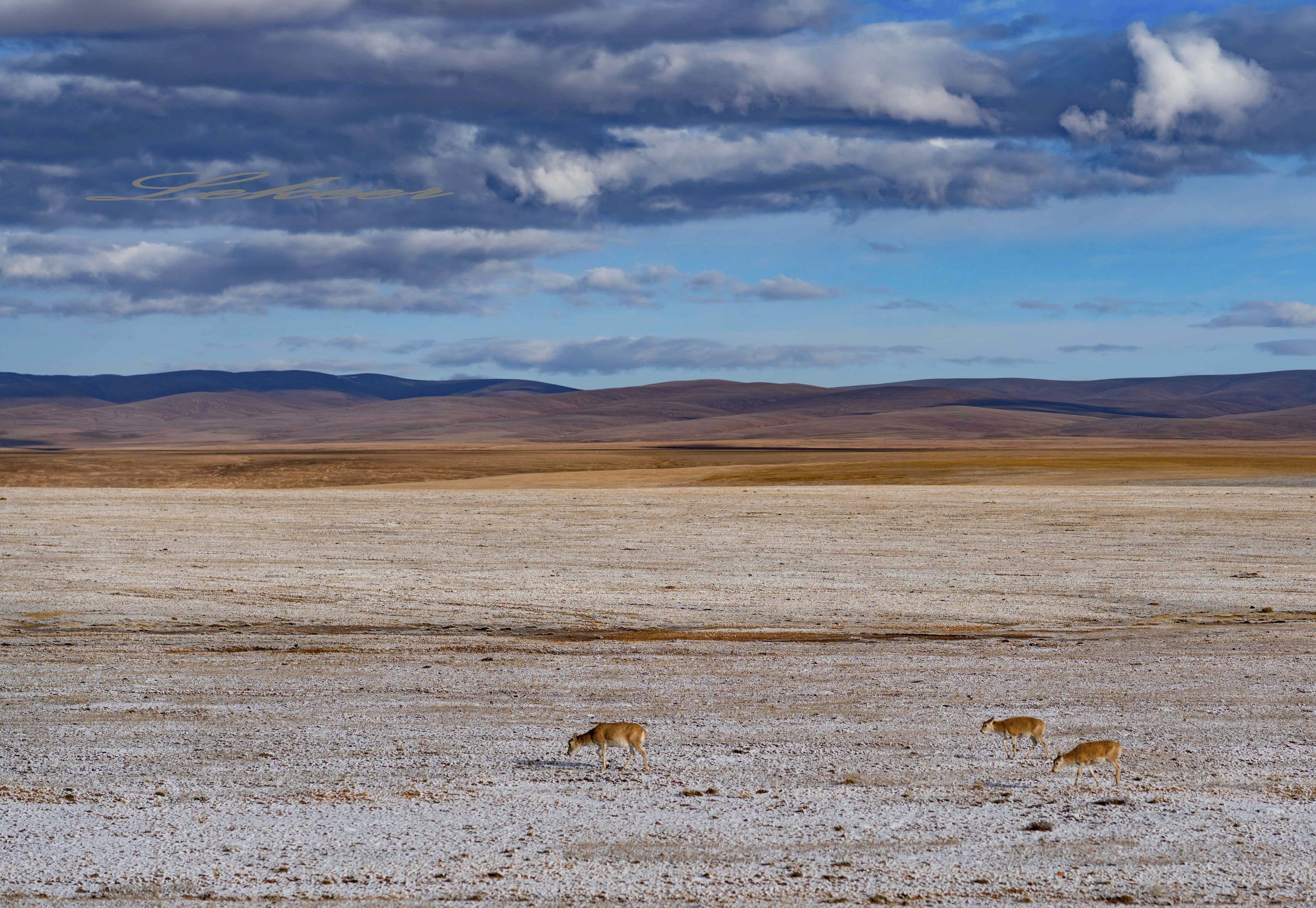 青藏线出西藏自驾攻略,出藏109国道自驾攻略