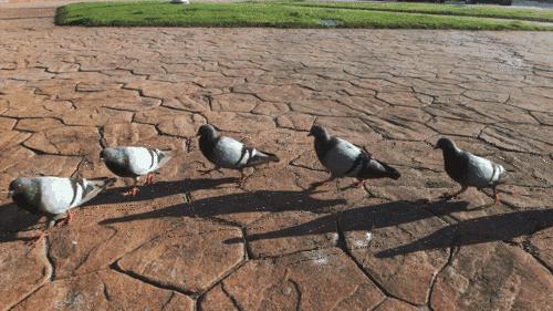 我再也不跟奇（S）葩（B）去旅行了