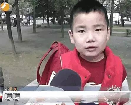 霸占你的小猪表情包,霸占你全部时间的表情包