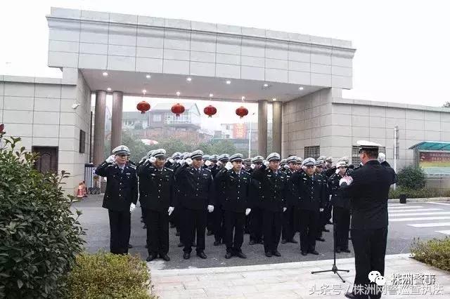 谭sir谈交通陈老师,交警谭sir