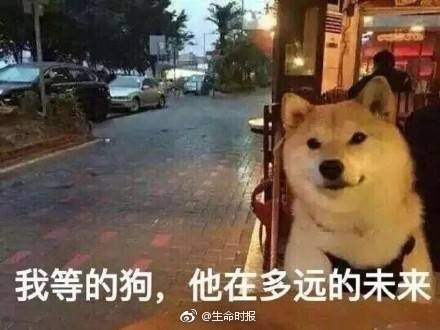 晨看*疆新**│算命结果不好她醉驾撞饭店玻璃；*疆新**成“消费万元户”