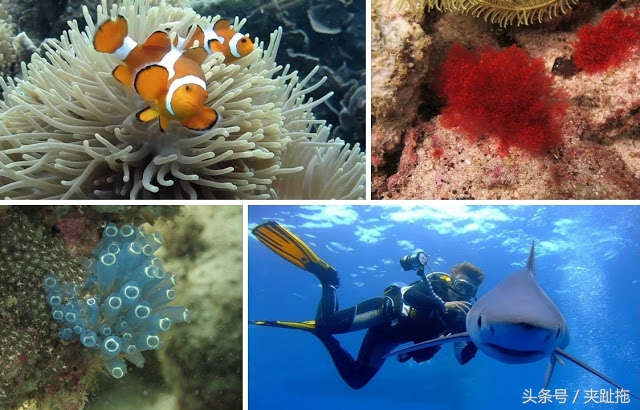 马来西亚乐高主题公园攻略,马来西亚乐高乐园有哪些景点