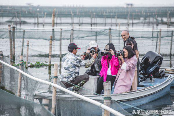 涨知识螃蟹的这几个地方不能吃,吃什么螃蟹不能吃什么