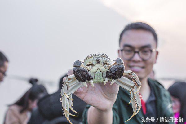 涨知识螃蟹的这几个地方不能吃,吃什么螃蟹不能吃什么