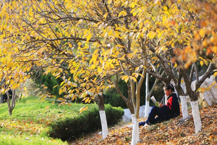 金秋沂南，诗意流淌有那么一群爱美的人，把秋季沂南送到你面前