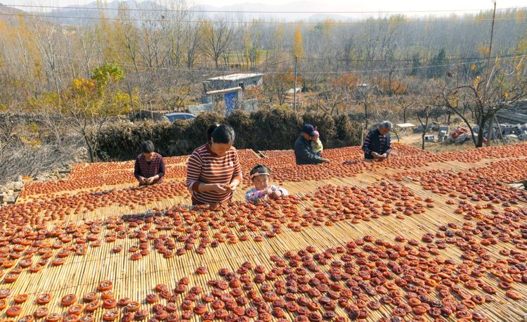 金秋沂南，诗意流淌有那么一群爱美的人，把秋季沂南送到你面前