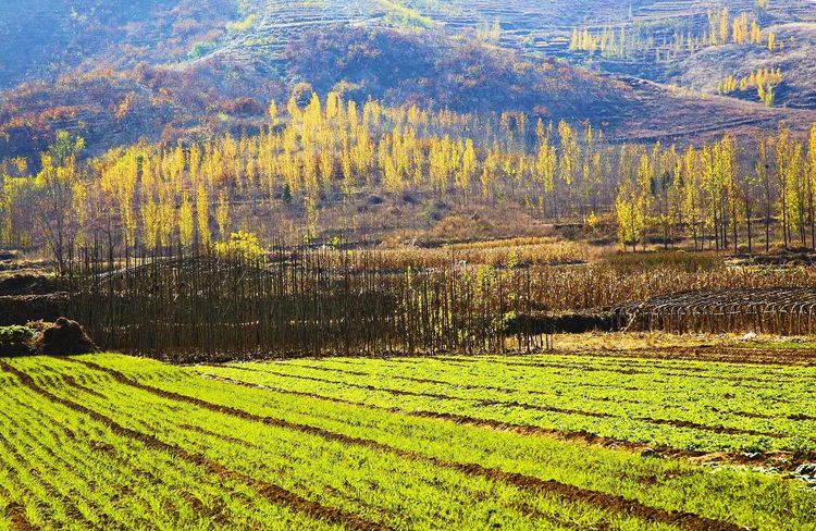 金秋沂南，诗意流淌有那么一群爱美的人，把秋季沂南送到你面前