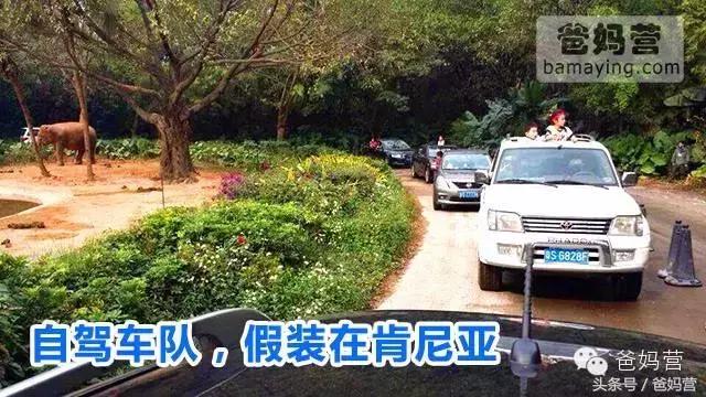 江浙沪十佳亲子酒店,适合亲子酒店推荐