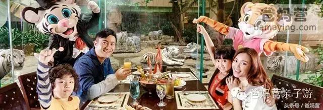 江浙沪十佳亲子酒店,适合亲子酒店推荐