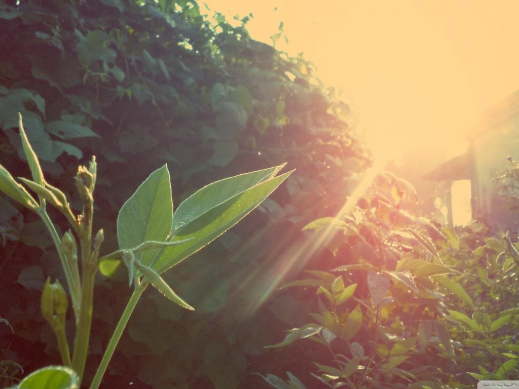 留学：什么样的学生才能进入美国顶尖大学？