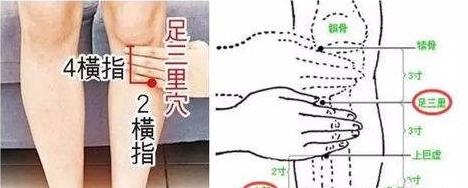 冬季脾胃虚寒吃什么好,大便不成形脾胃虚寒胃口不好