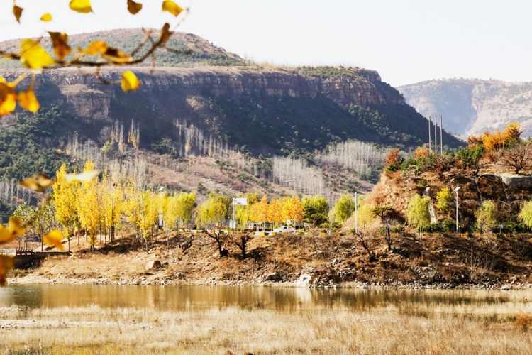 金秋沂南，诗意流淌有那么一群爱美的人，把秋季沂南送到你面前