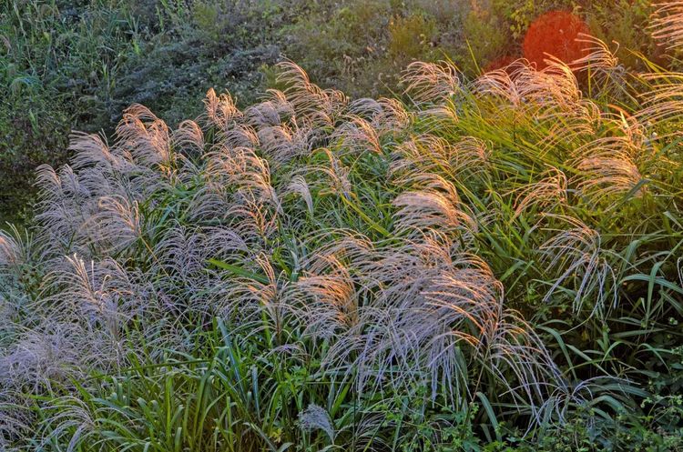 金秋沂南，诗意流淌有那么一群爱美的人，把秋季沂南送到你面前