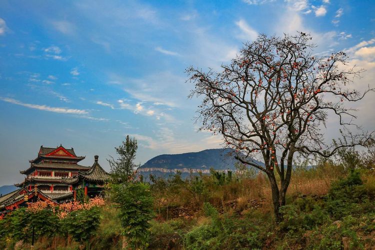 金秋沂南，诗意流淌有那么一群爱美的人，把秋季沂南送到你面前