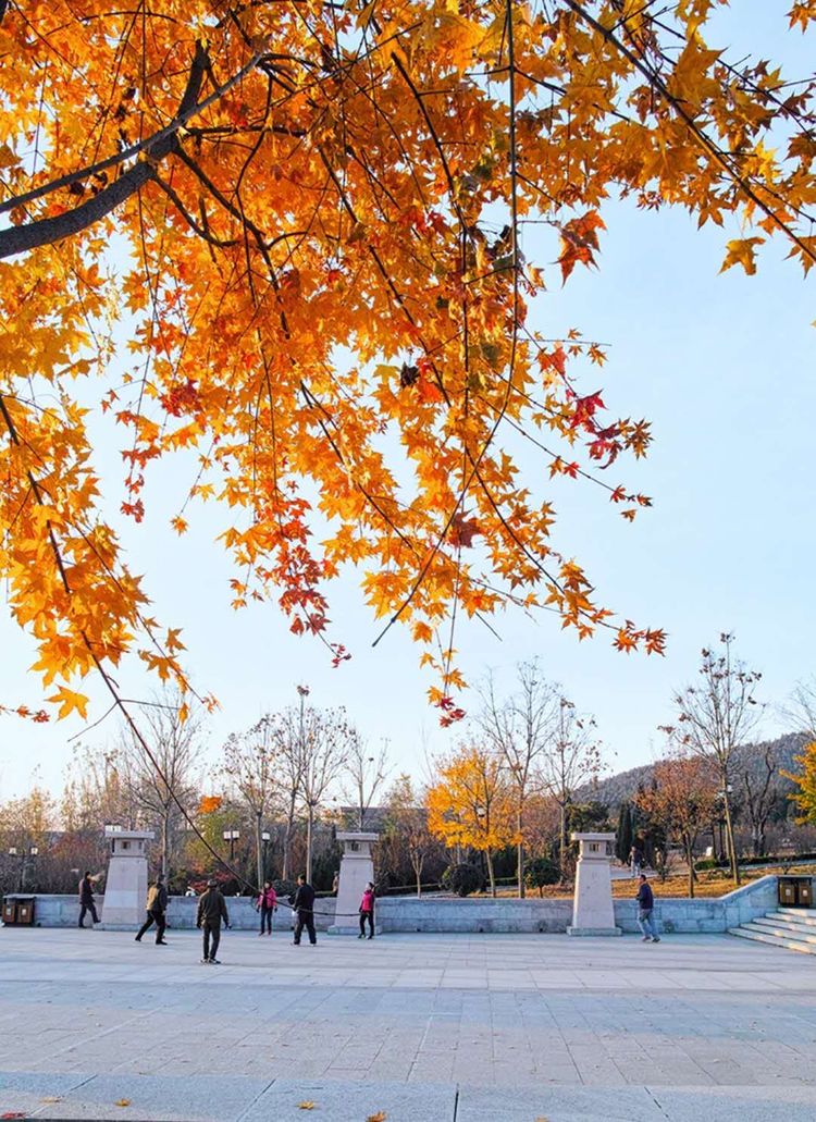 金秋沂南，诗意流淌有那么一群爱美的人，把秋季沂南送到你面前