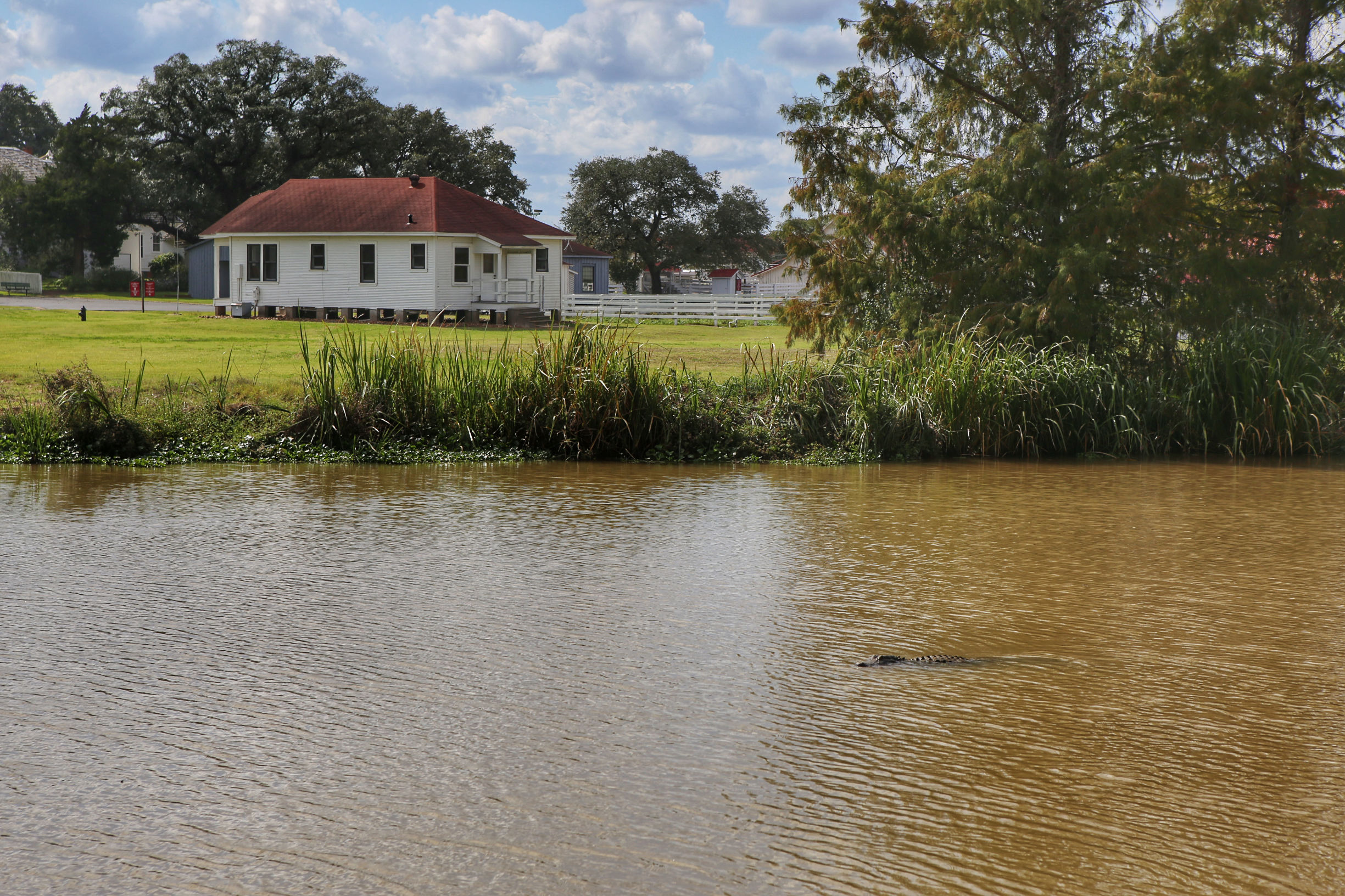美国德克萨斯州的房子,为什么德克萨斯州的房子便宜