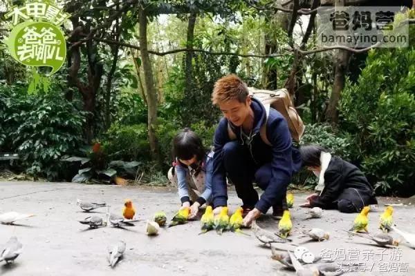 江浙沪十佳亲子酒店,适合亲子酒店推荐