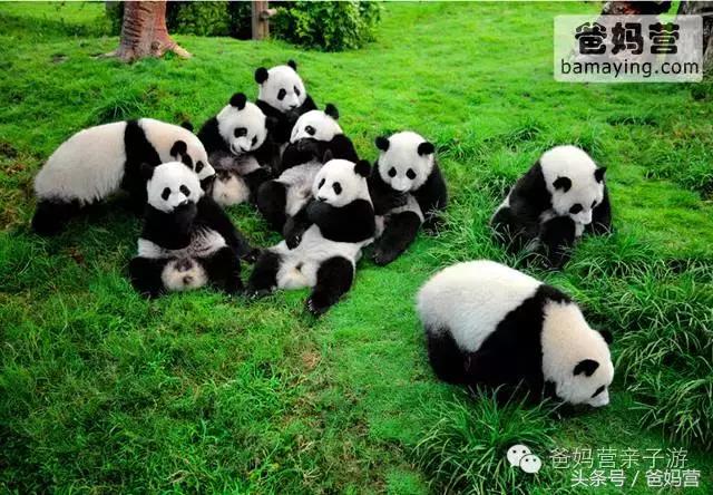 江浙沪十佳亲子酒店,适合亲子酒店推荐