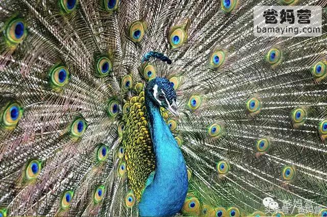 江浙沪十佳亲子酒店,适合亲子酒店推荐