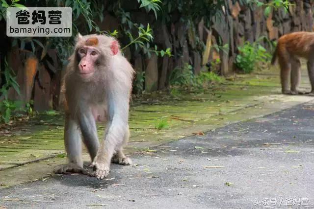 江浙沪十佳亲子酒店,适合亲子酒店推荐
