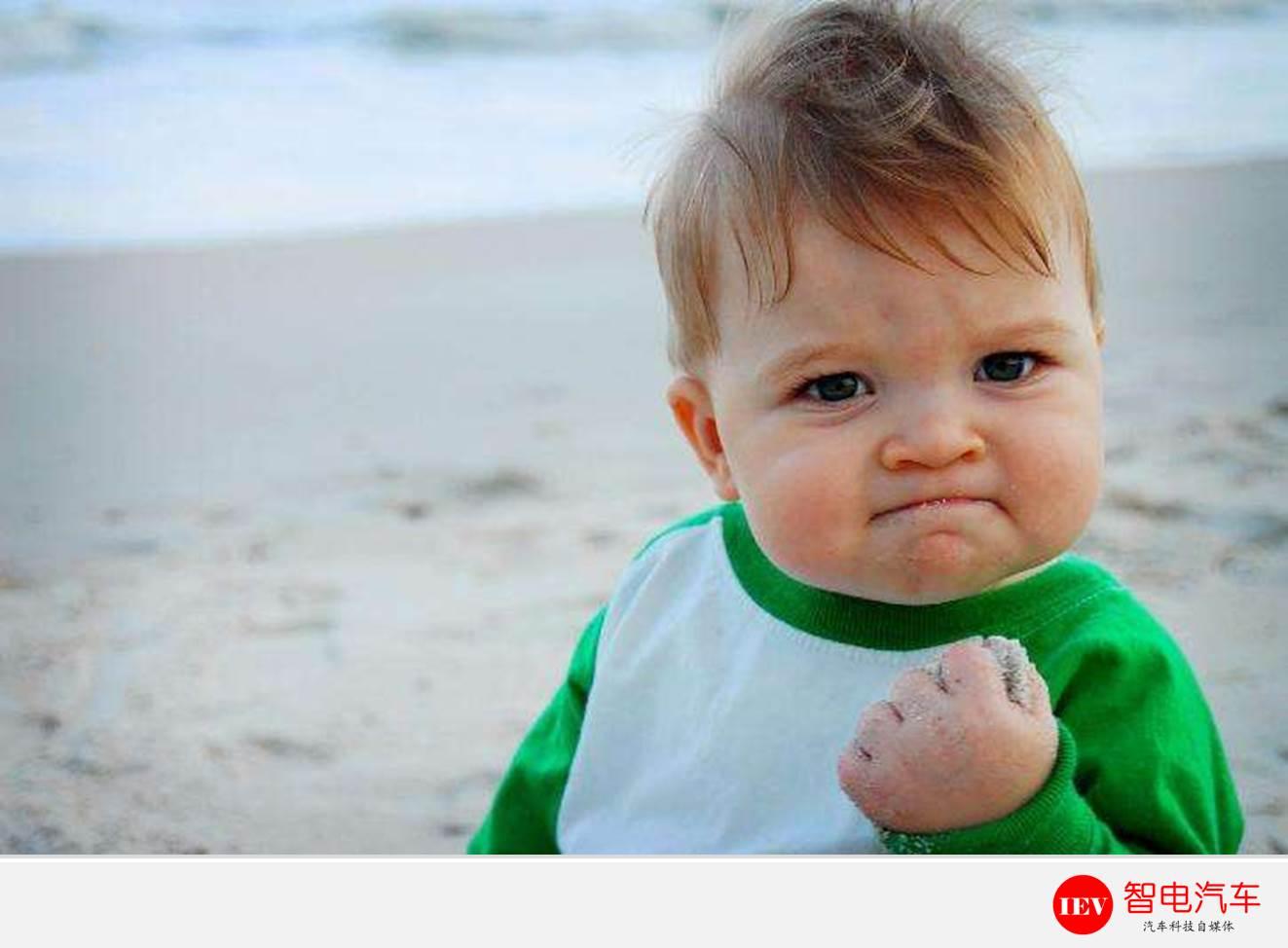 十大造假车企名单,德系车最新公布