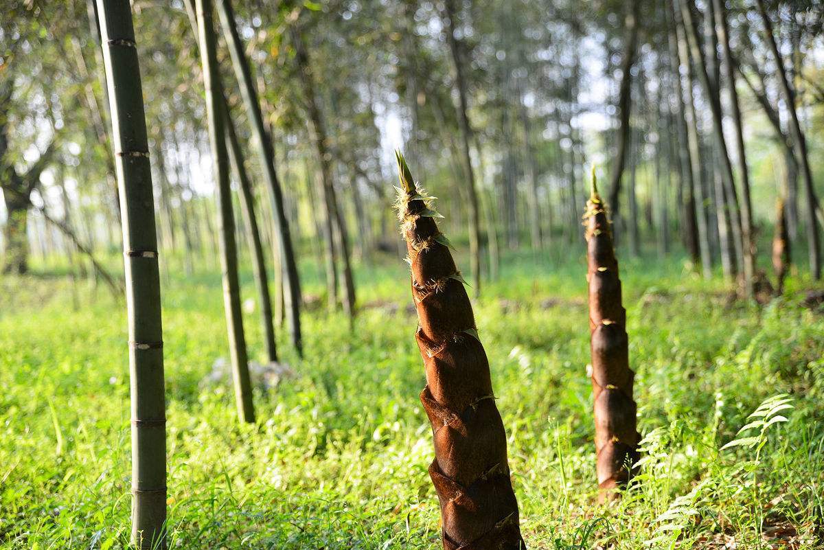 秀城美食,秀城店美食
