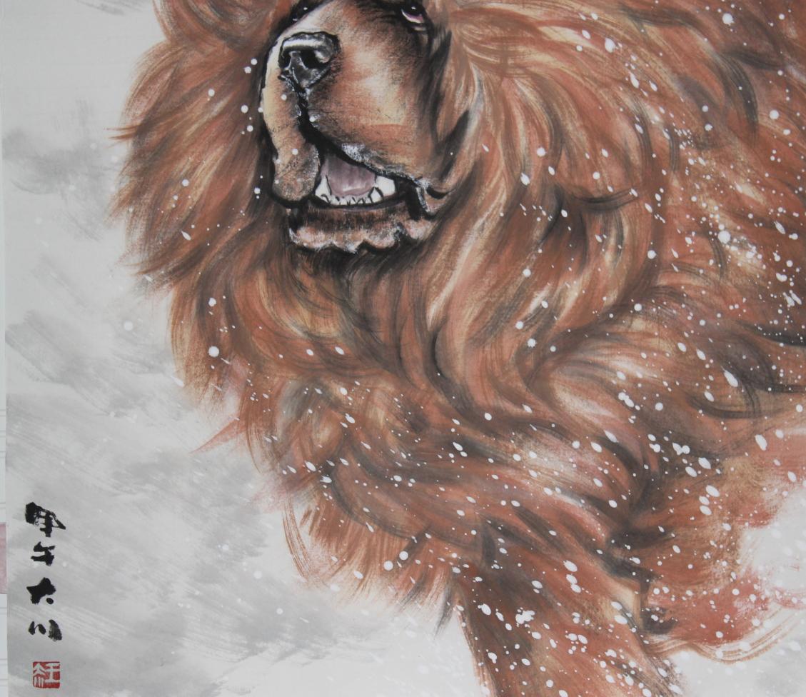 立耳的狗狗品种,狗狗品种大全视频