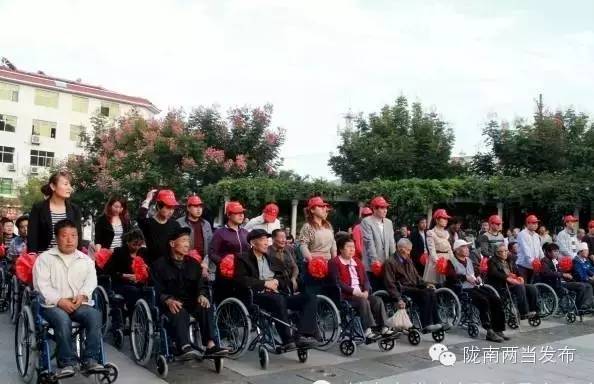 脱贫攻坚武都,脱贫攻坚看陇南