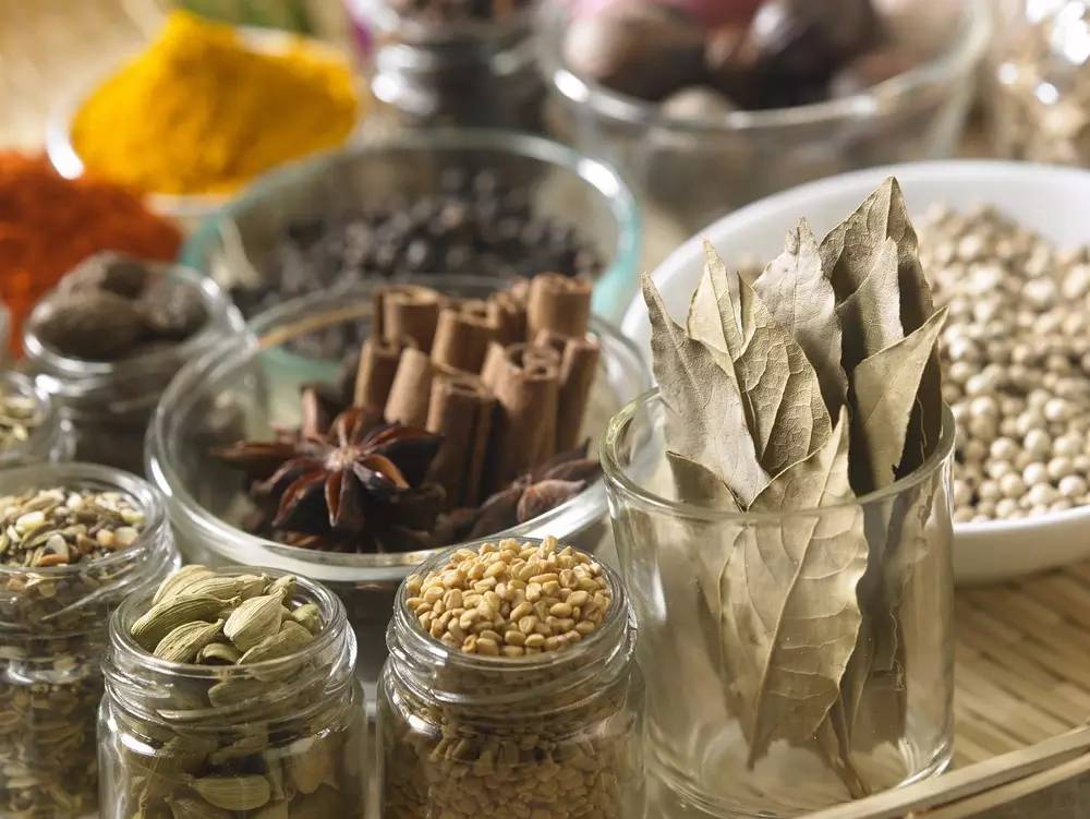 高大上的月桂,就在我们身边