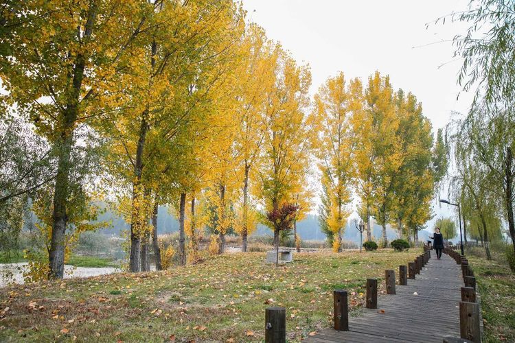 金秋沂南，诗意流淌有那么一群爱美的人，把秋季沂南送到你面前