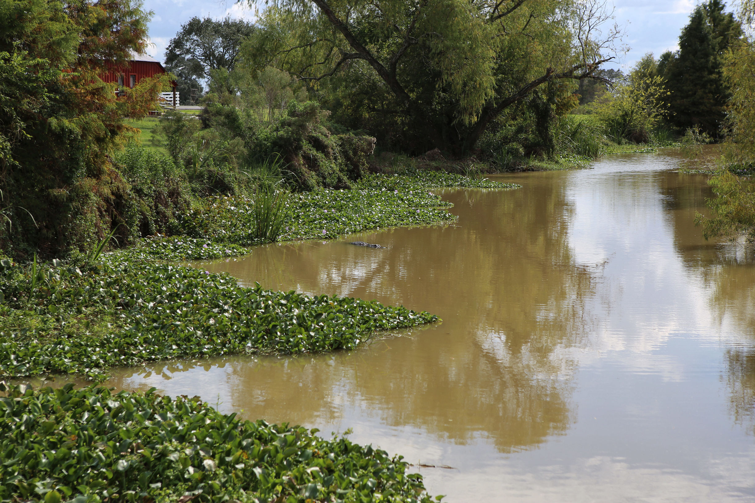 美国德克萨斯州的房子,为什么德克萨斯州的房子便宜
