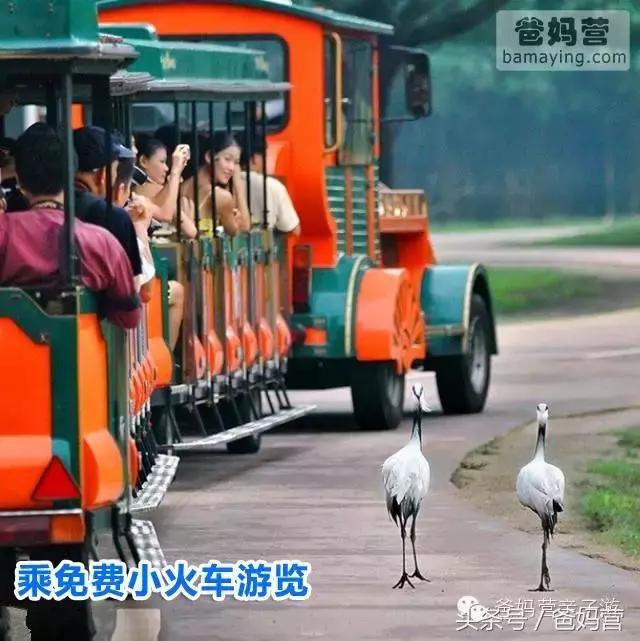 江浙沪十佳亲子酒店,适合亲子酒店推荐