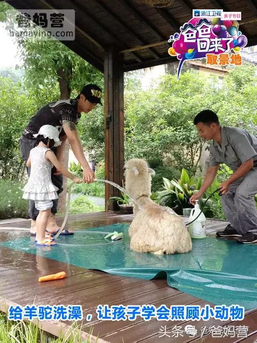 江浙沪十佳亲子酒店,适合亲子酒店推荐