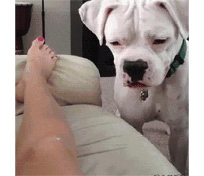 小姐姐你系完鞋带就快起来吧，都被人给看光，你长的好看才提醒你