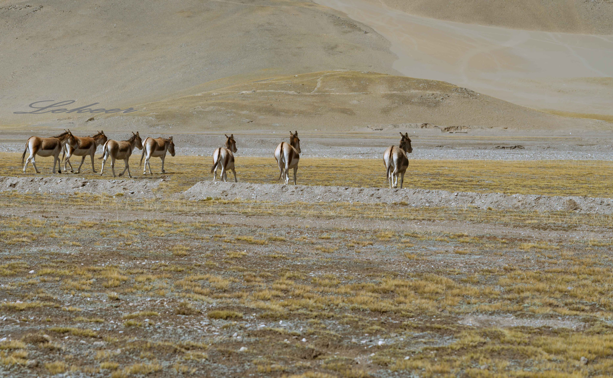 青藏线出西藏自驾攻略,出藏109国道自驾攻略