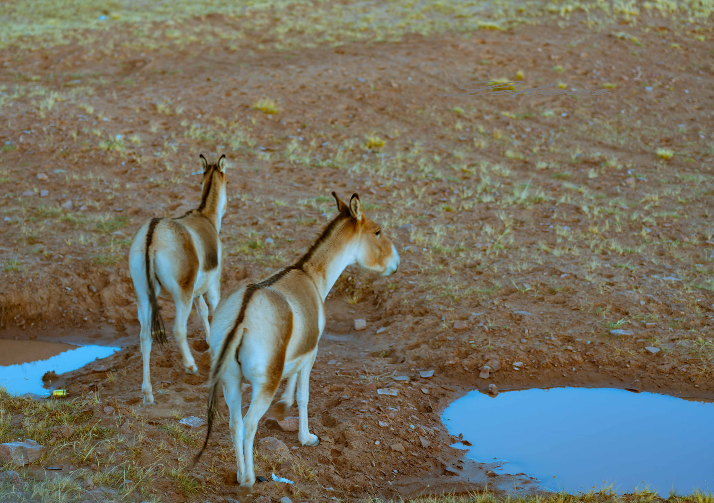 青藏线出西藏自驾攻略,出藏109国道自驾攻略