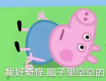 霸占你的小猪表情包,霸占你全部时间的表情包