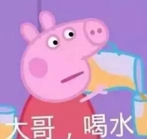 霸占你的小猪表情包,霸占你全部时间的表情包