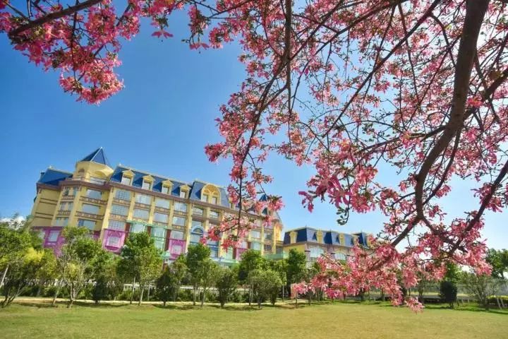 百万葵园一日游门票,葵园免费门票景点