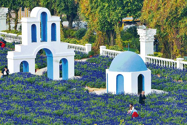 百万葵园一日游门票,葵园免费门票景点