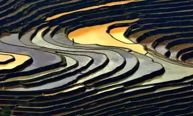 大红河视频,大红河