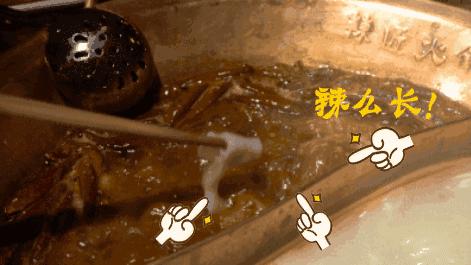 厦门最火正宗重庆火锅是哪一家,厦门最正宗重庆火锅